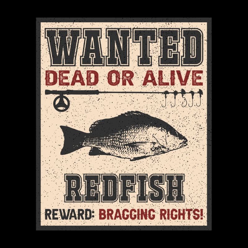Recherché: Poisson - Pêche au sébaste