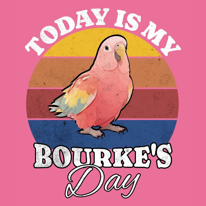 Perruche de Bourke