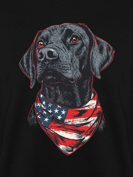 Vizsla