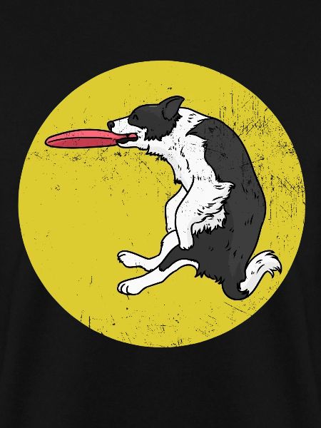 Flinker Frisbeehund Spielwiese