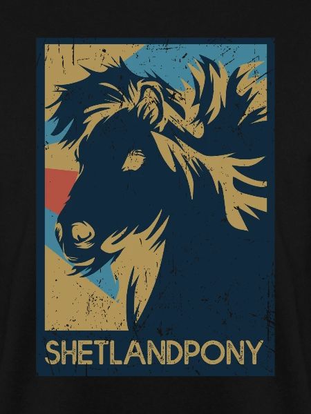 Shetlandpony