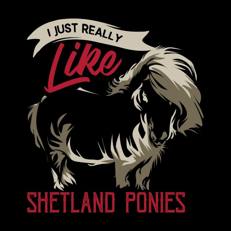 Shetlandpony
