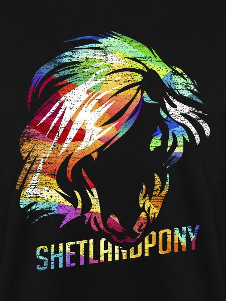 Shetlandpony