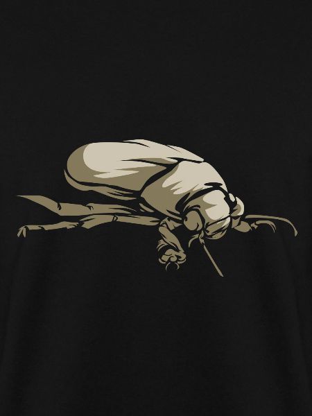 Brown beetle