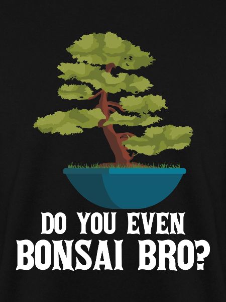 Bonsai Tree