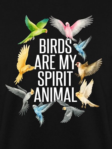 Vögel lustig
