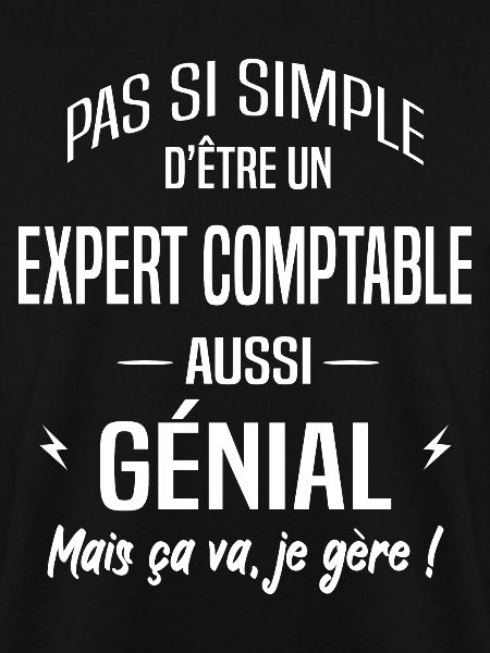 Expert comptable