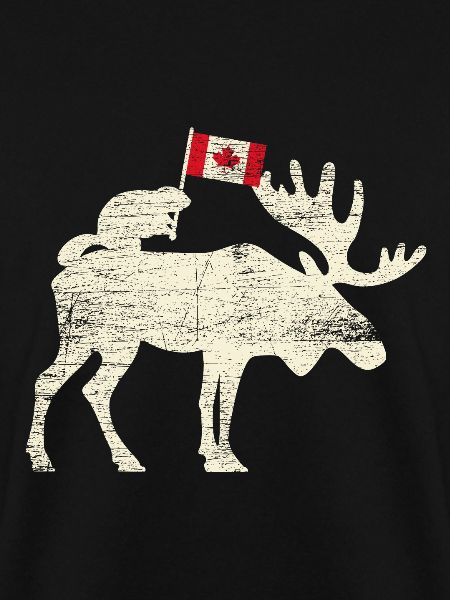 Kanada Kanadische Flagge