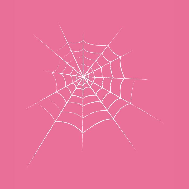 Spinne Spinnennetz