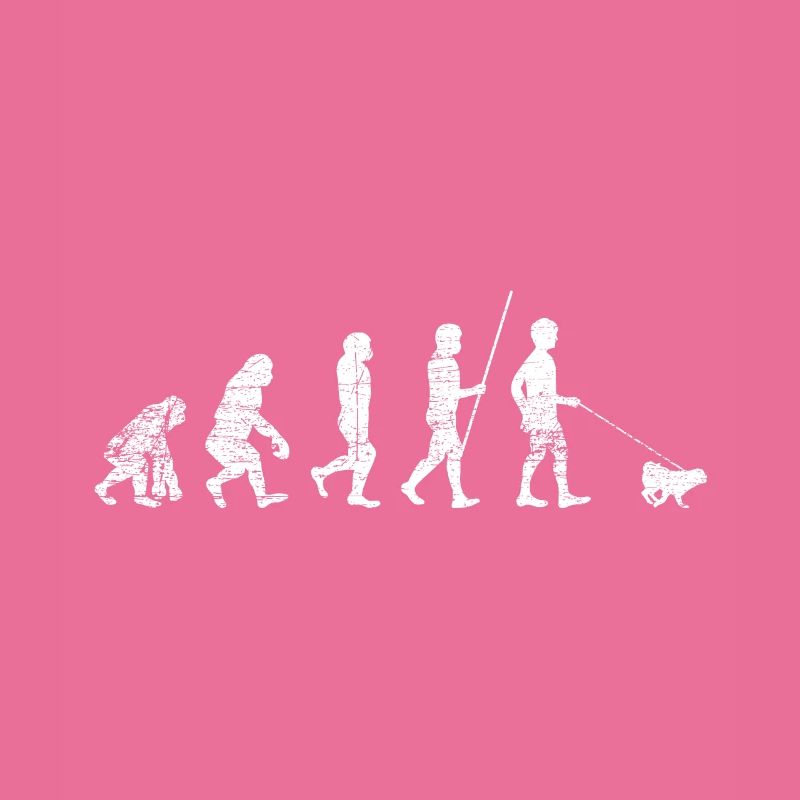 Evolution du carlin