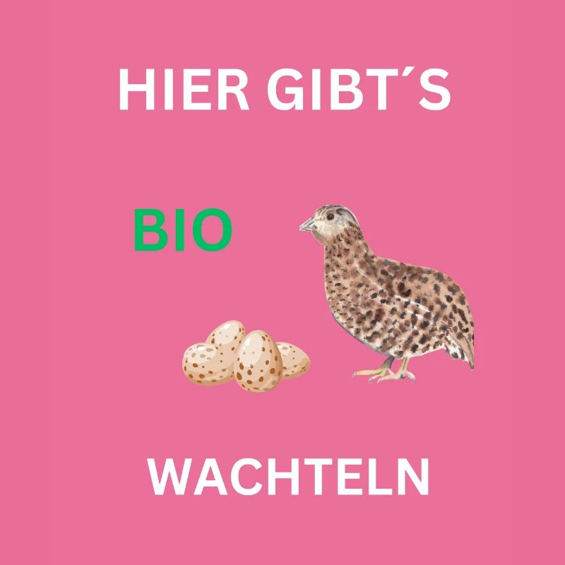 WACHTEL