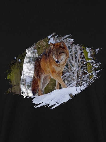 Wolf