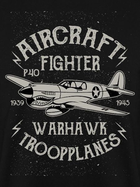 Warhawk Flugzeug Flieger