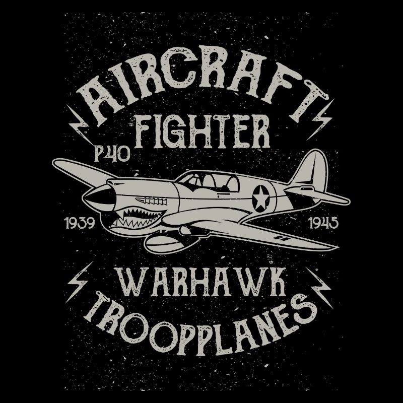 Warhawk Flugzeug Flieger