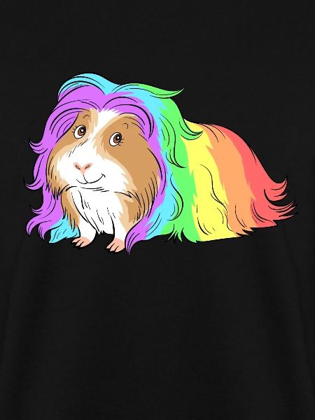 Meerschweinchen Regenbogen Bunt