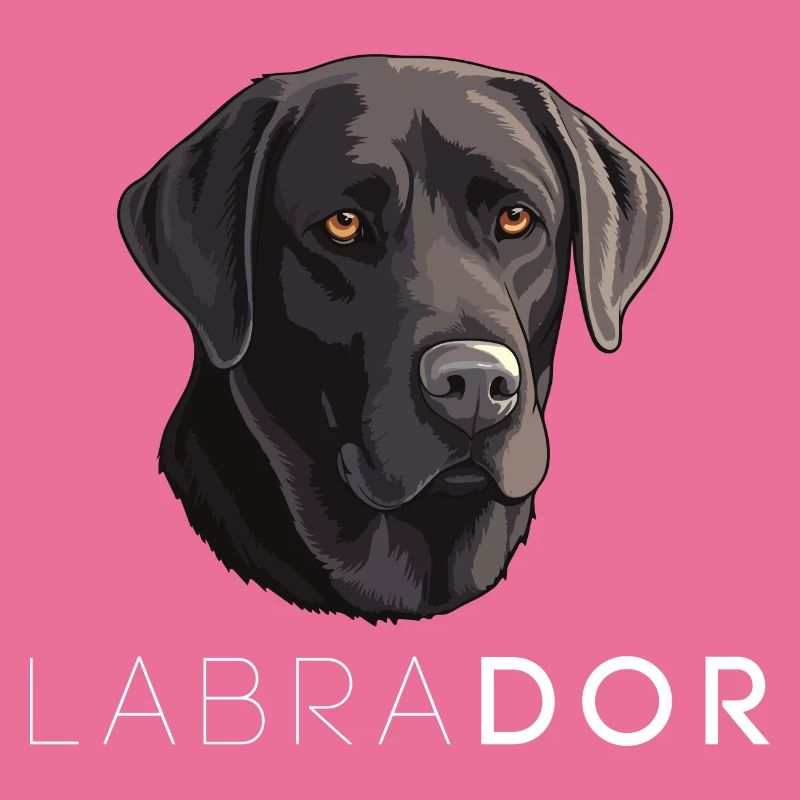 Labrador