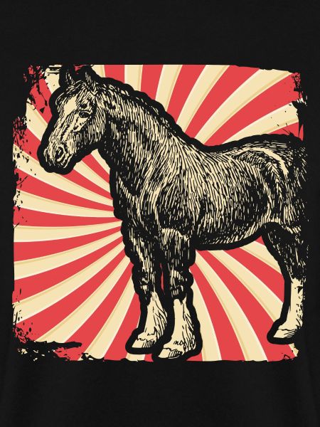 Pferd Pferderasse Clydesdale