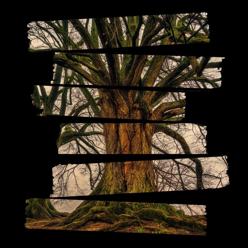 Baum des lebens landschaft
