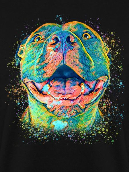 Pitbull mignon