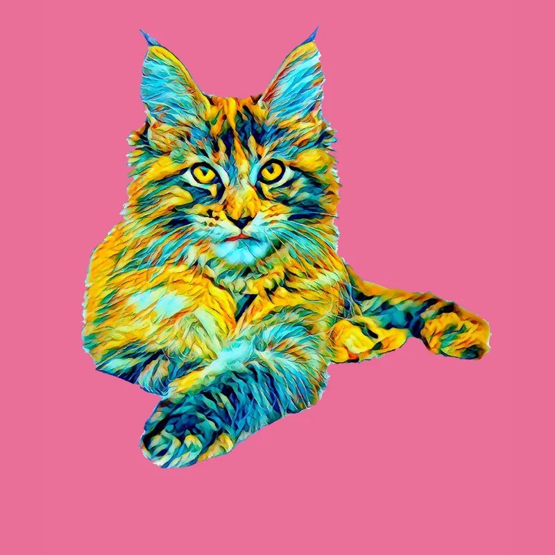 Maine Coon