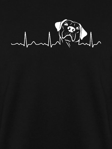 Labrador