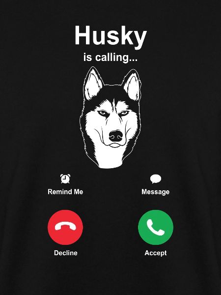 Husky Schlittenhunde