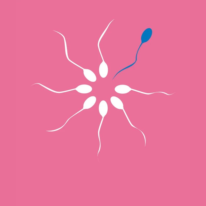 Be different Be different sperm sperm spermling