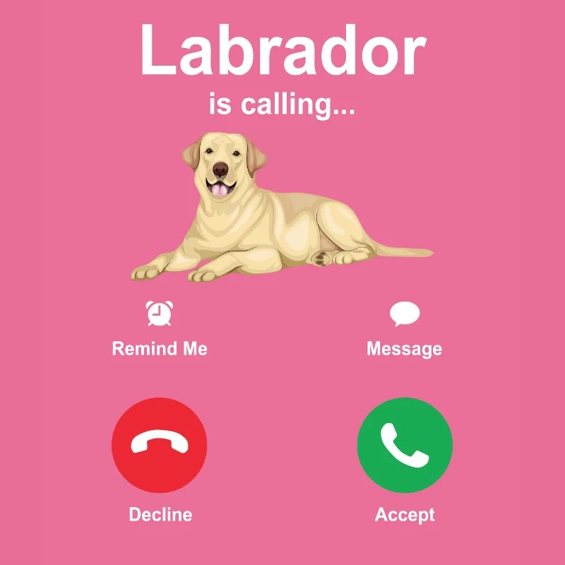 Labrador