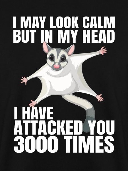 Sugar Glider Flughörnchen
