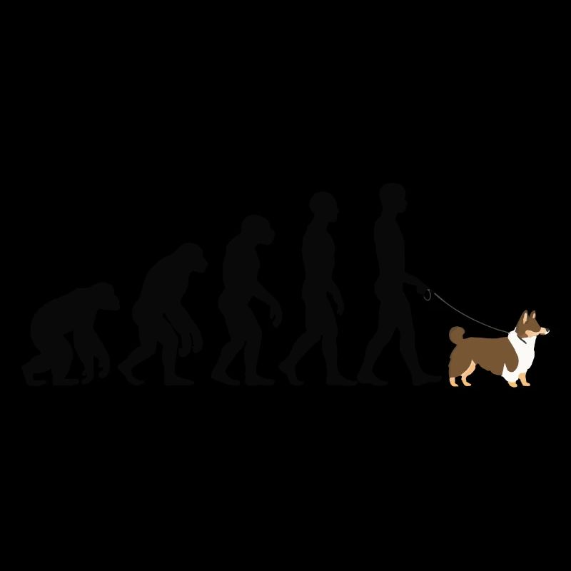 Shetland Sheepdog