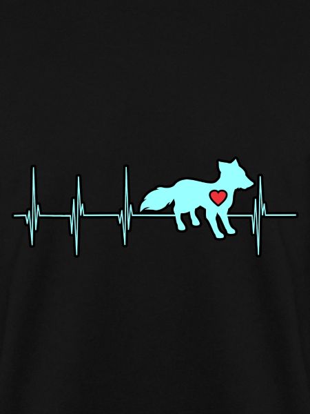 Polarfuchs