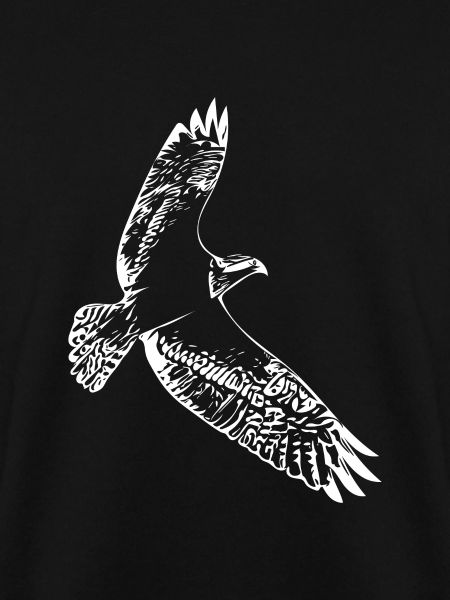 Hawk in flight