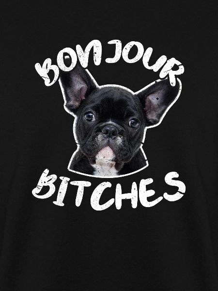 French bulldog