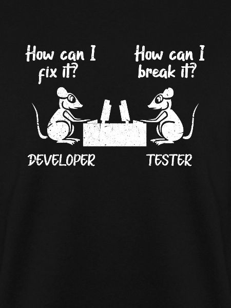 software developer