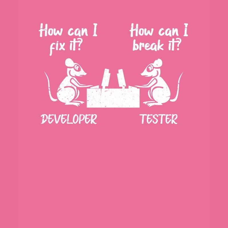 Softwareentwickler