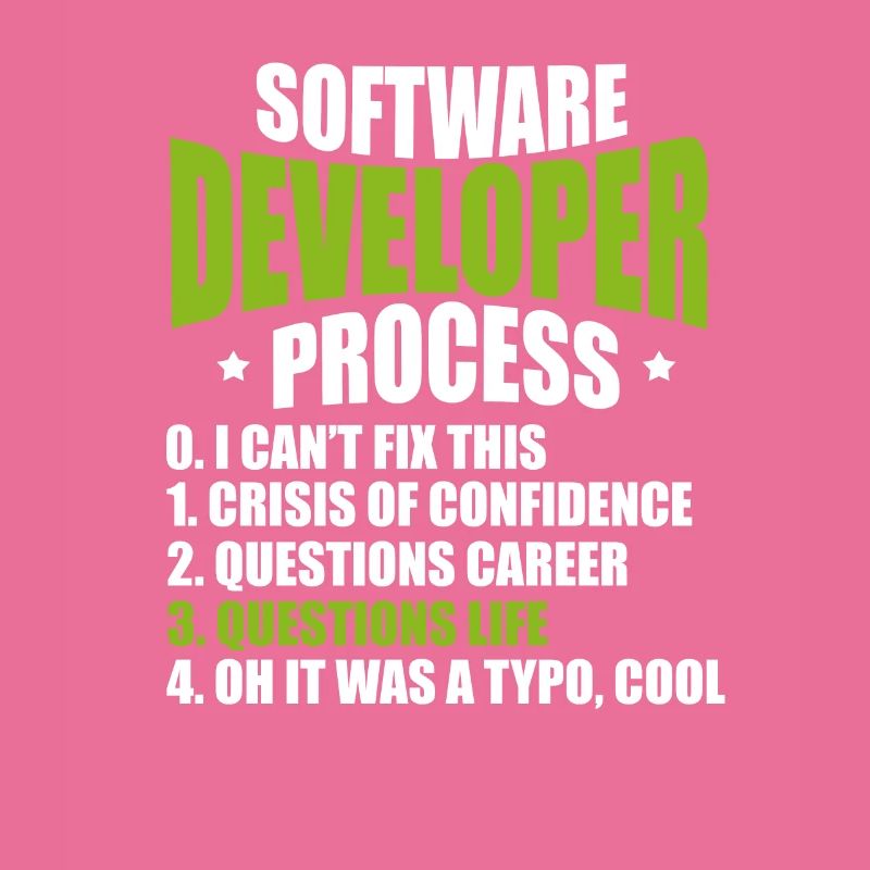 Softwareentwickler