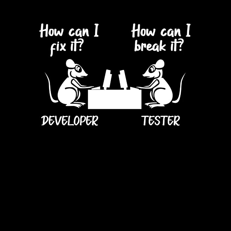 Softwareentwickler Programmierer Software