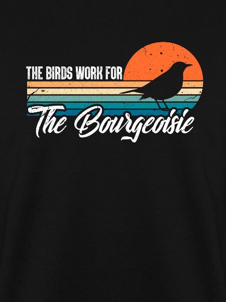 Bird conspiracy