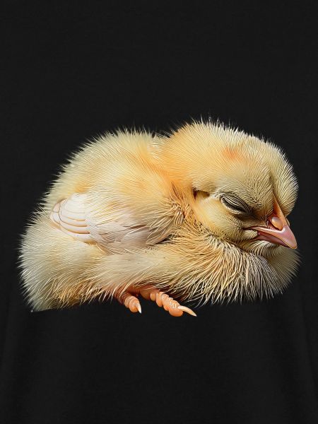Huhn