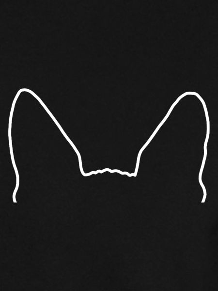 Sphynx Ohren