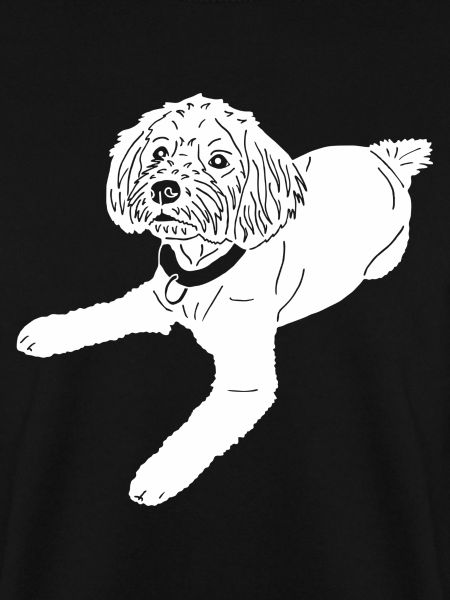Mischlingshund