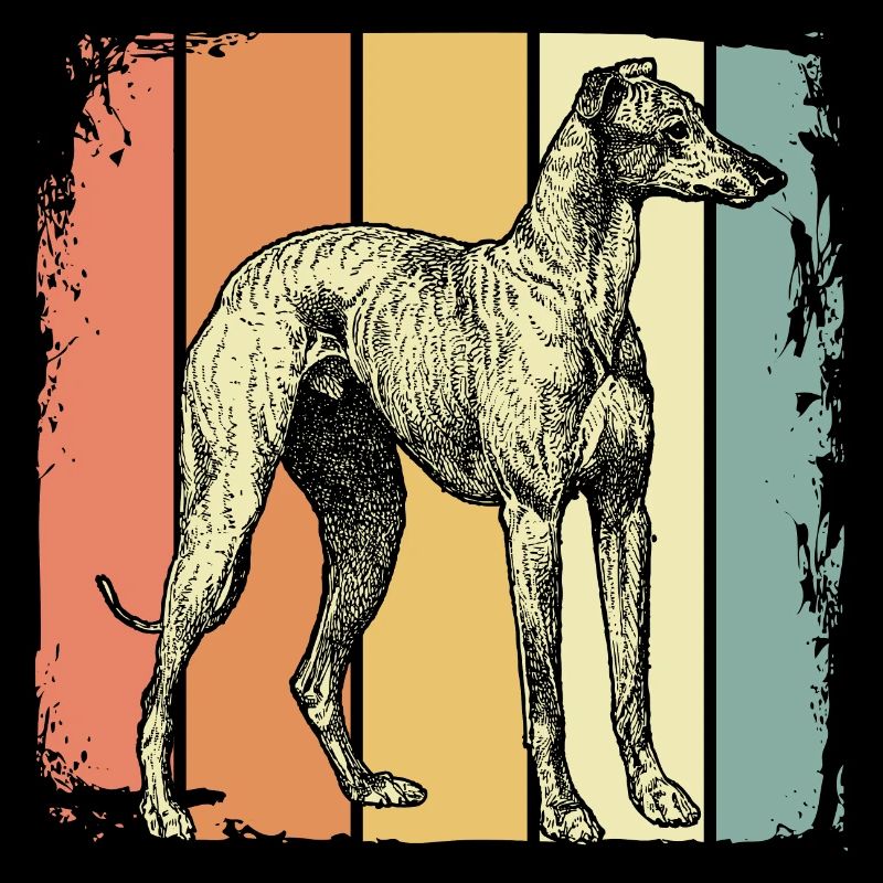 Dog Greyhounds