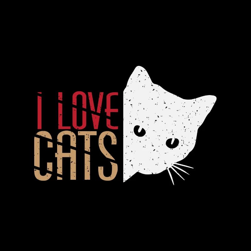 chats ami
