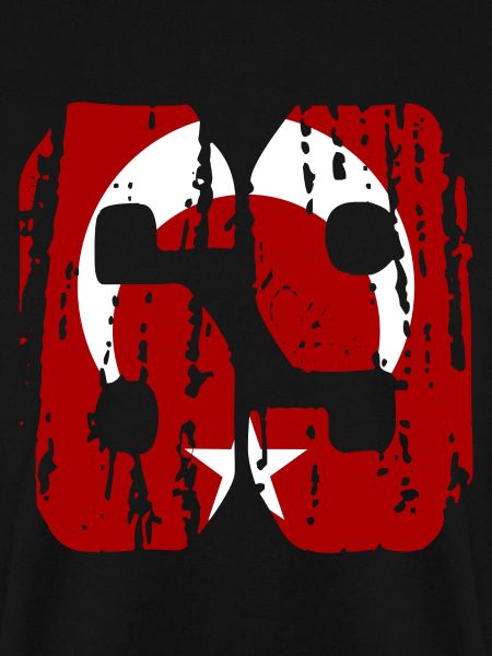 Bayburt 69 used