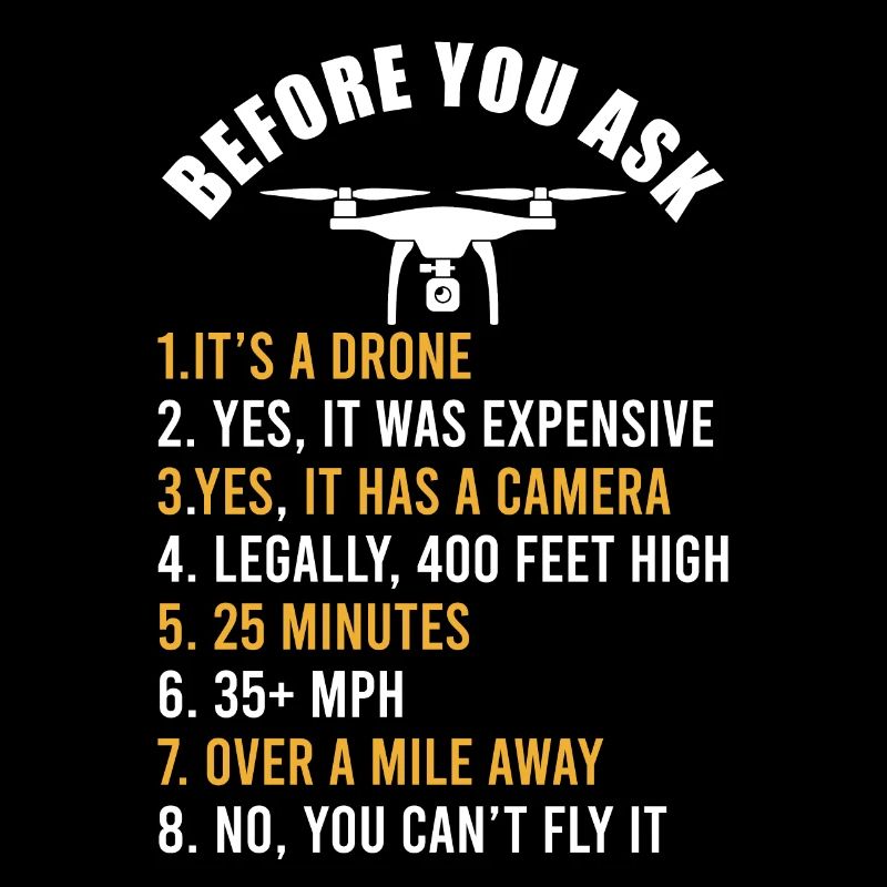 Drone drone pilot gift Lustier saying wit