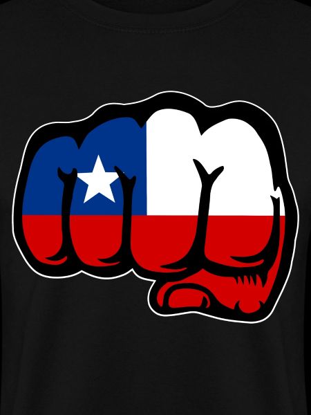 Chile Flagge Faust