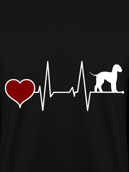 Bedlington Terrier Herzschlag