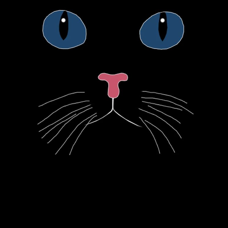 CHAT NOIR
