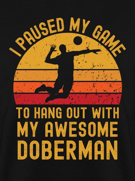 Volleyball und Dobermann