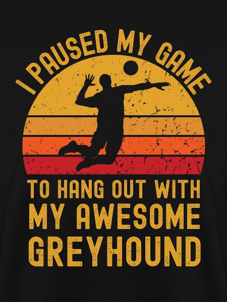 Volleyball und Greyhound